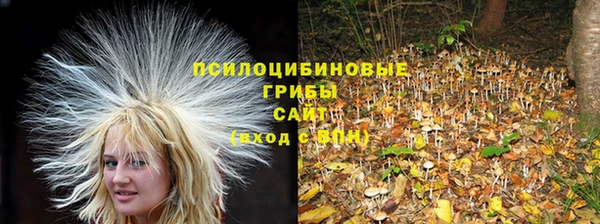 спиды Зуевка