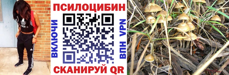 это состав купить Солигалич Псилоцибиновые грибы прущие грибы