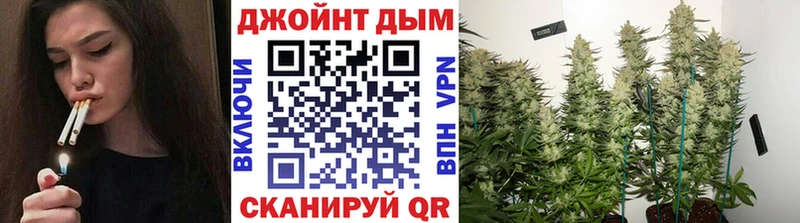 Канабис гибрид  Солигалич 